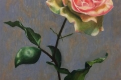 Rose (after Graydon Parrish), Katarina K, age 14